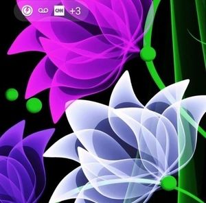 Meet your Posher, Frank